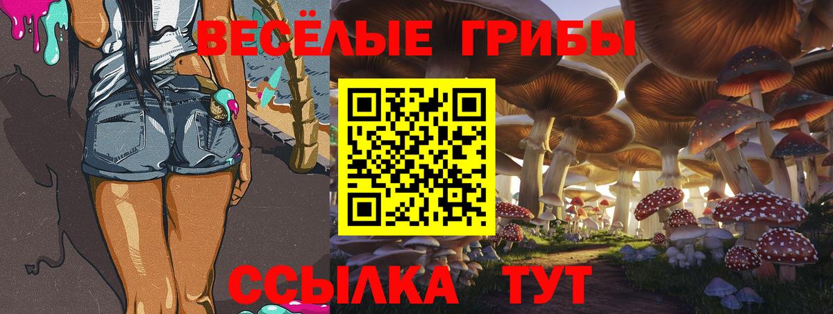 Псилоцибиновые грибы мицелий  Вход с VPN  Мыски 